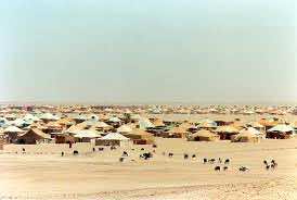Sahara: US experts urge Algeria and Polisario to submit to the verdict of history and reality on the ground