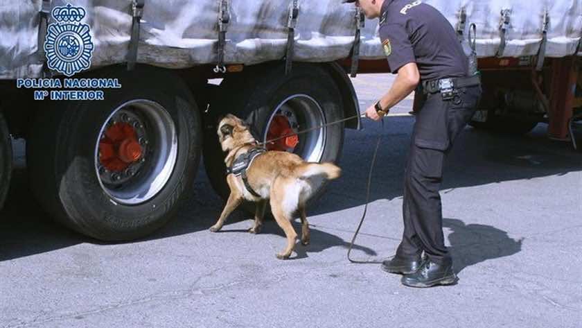 Spanish Police Rescue Six Moroccan Minors Hiding Under Truck
