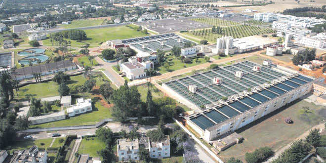 Tangier Program Calls Attention to Wastewater Treatment in Morocco