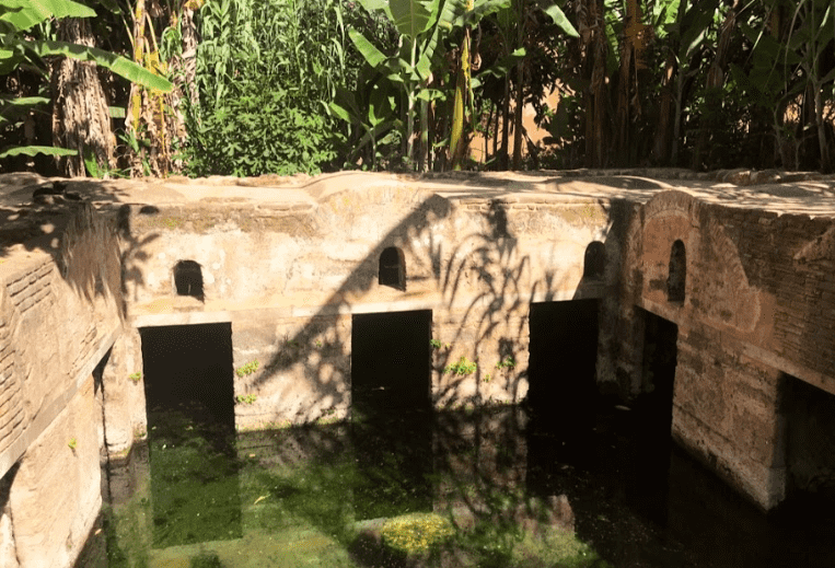 The Angel in a Tan Djellaba: Caring for Chellah’s Cats