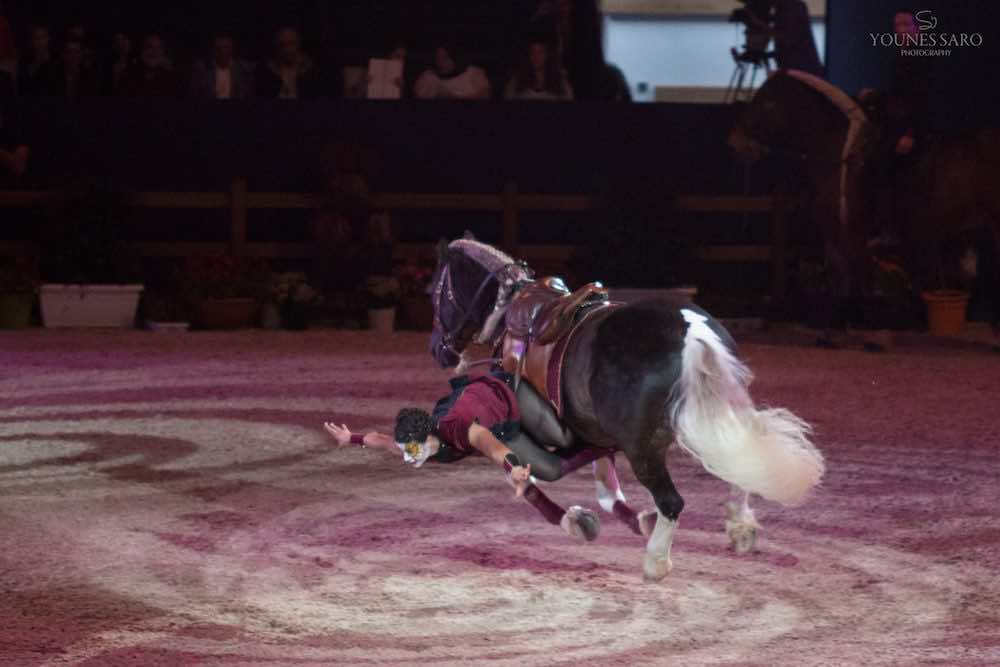 In Pictures: Closing Ceremony of 9th Annual International Horse Salon
