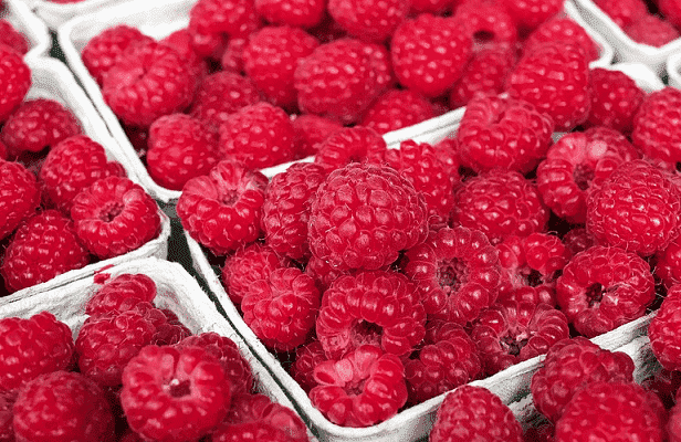 US Approves Import of Moroccan Raspberries