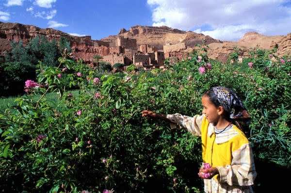 Characteristics That Make You Moroccan