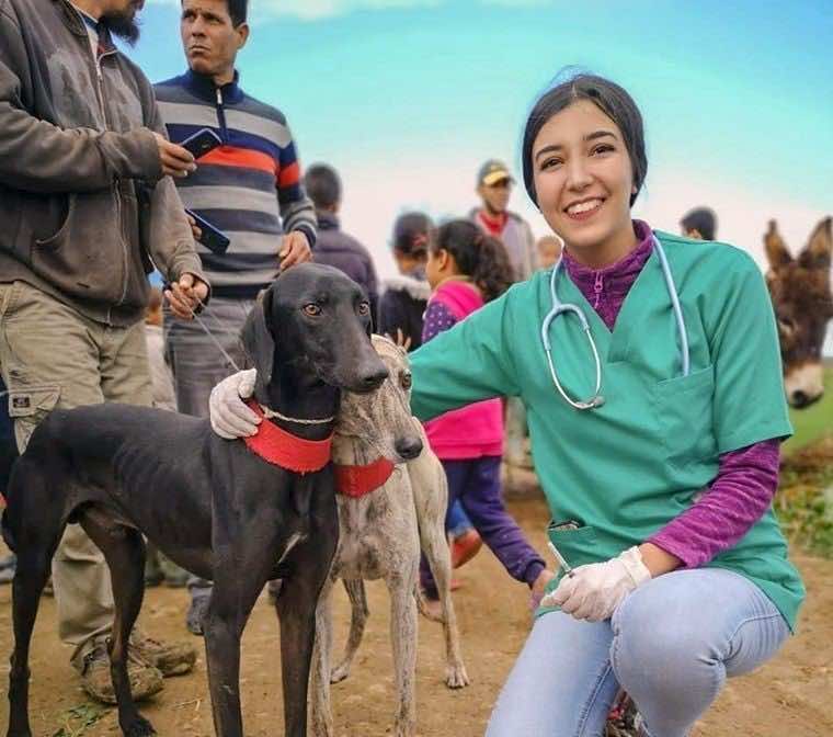 Veterinary Caravan Vaccinates 600 Dogs Against Rabies in Rural Morocco