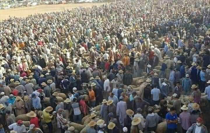Videos Show Mask Negligence at Moroccan Livestock Markets Prior to Eid Al Adha
