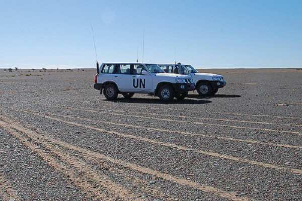 ‘Intergroup for Western Sahara’: Misrepresentations and Post-Truths About the Conflict
