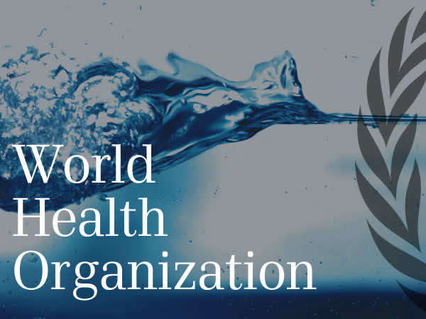 Three Carcinogenic Agents Still Approved for Use in Morocco