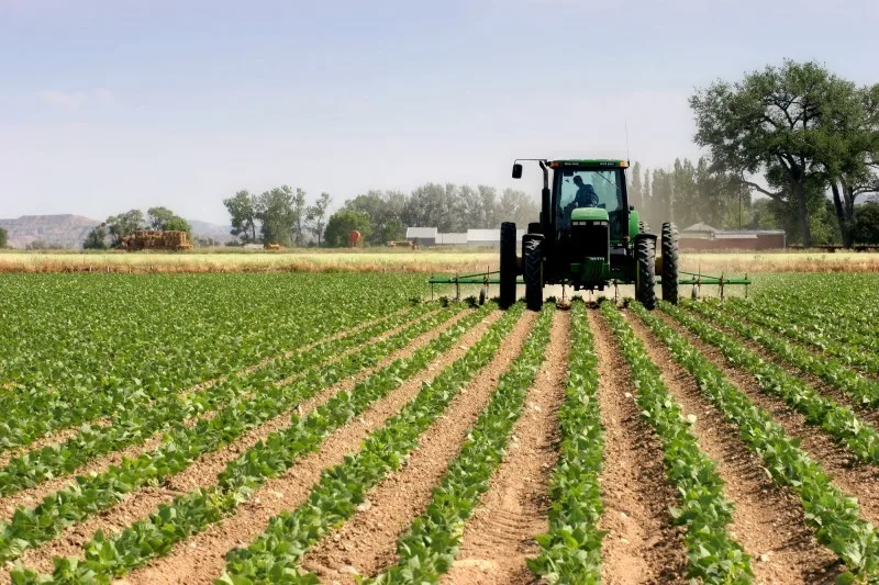The official launch of the AYA (Anouar Yieldest Additives) industrial project marks a new step forward for Morocco's strategy for industrializing and enshrining its food sovereignty, several government officials said Wednesday in Jorf Lasfar.