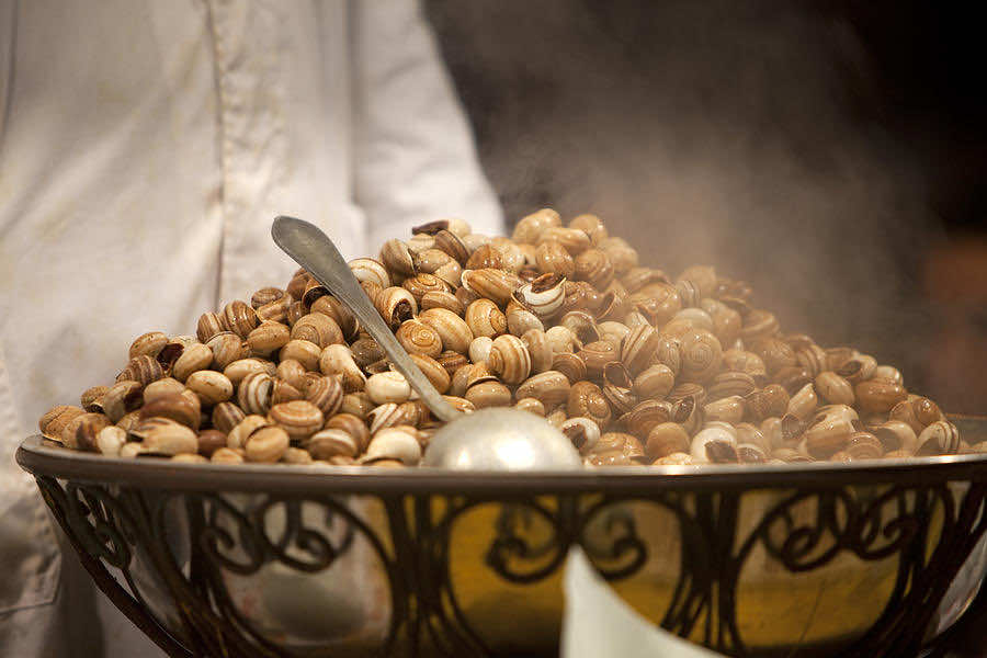 Morocco Signs Agreement to Export Snails to Italy