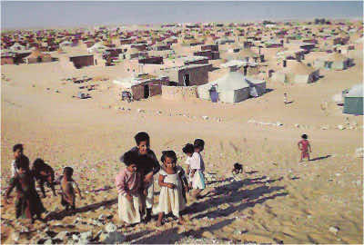 Polisario fights access to the Moroccan constitutional draft in Tindouf camps