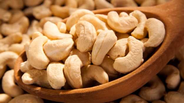Denia Holding to Invest €20 Million in Cashew Nut Processing Plant in Ivory Coast