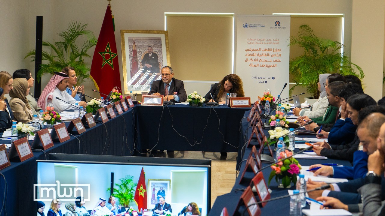 CEDAW Workshop: MENA Experts Advocate for Synergy of Religion, Women’s Rights