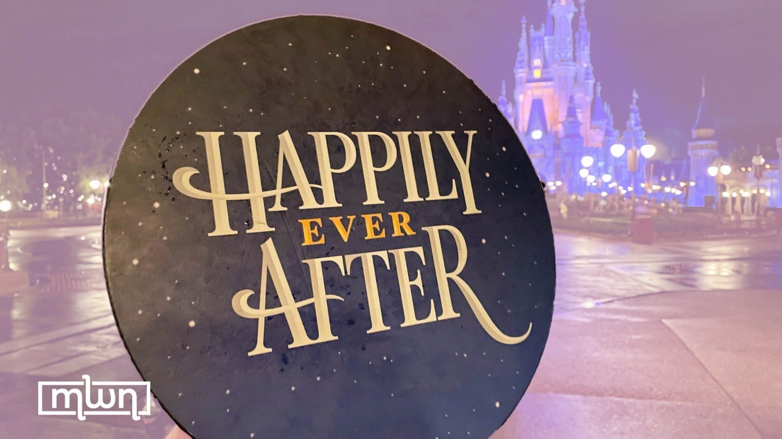 Chasing ‘Happily Ever After’: Dream or Reality?