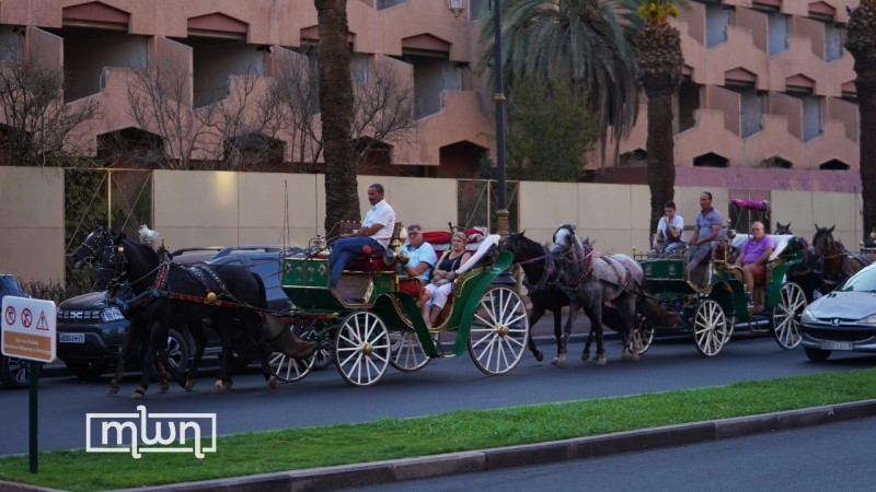 Conde Nast Traveller Lists Morocco Among Top 10 Googled Travel Destinations in 2023