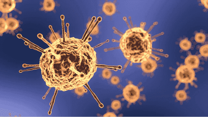 Morocco’s Coronavirus Case Count Rises to 390, Death Toll at 25
