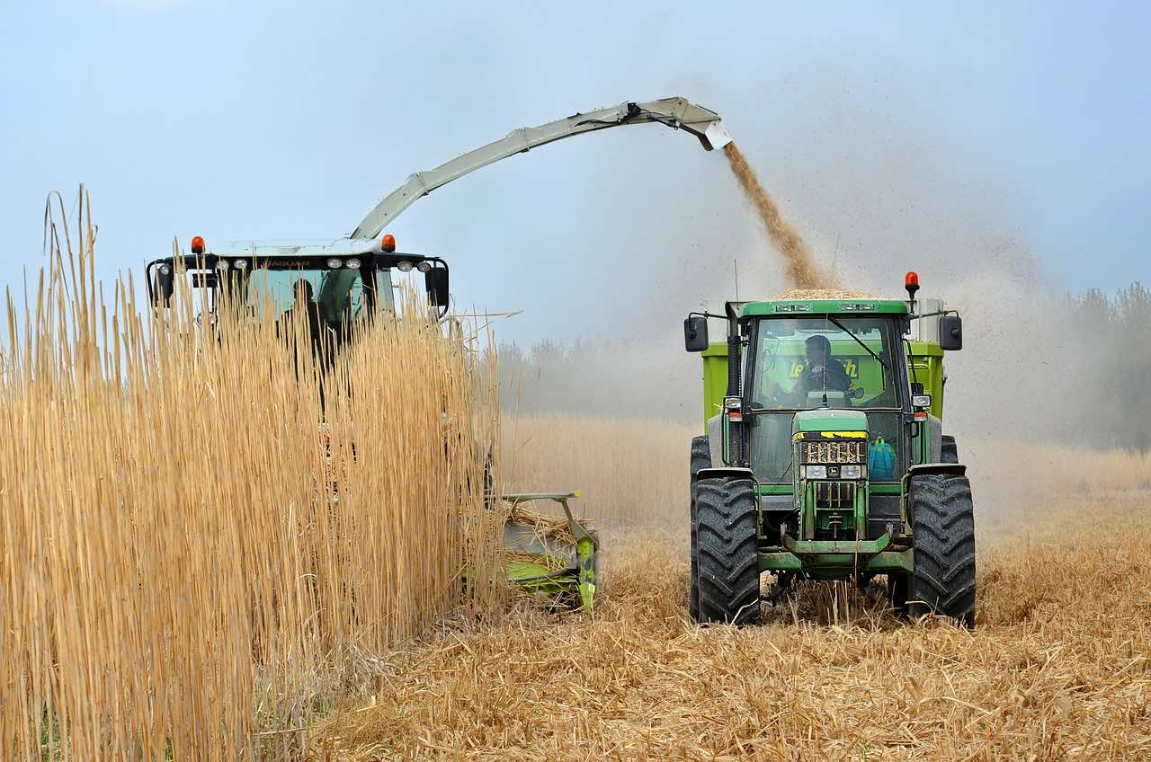 US Trade Commission Imposes Duties on Moroccan Phosphate