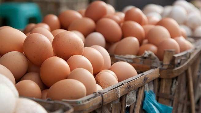 Egg Prices Likely to Drop in Morocco During Ramadan 2024