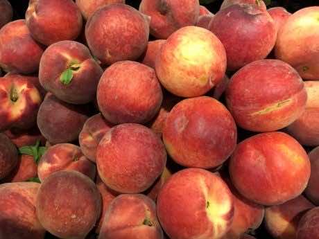 Europe’s Poor Harvest, an Opportunity for Moroccan Growers