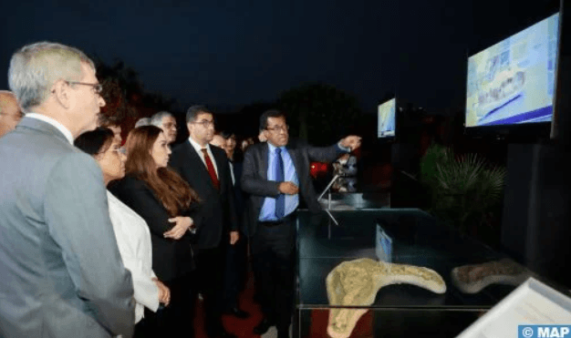 Exhibition Displaying Archaeological Fossils Returned From 3 Countries Opens in Casablanca