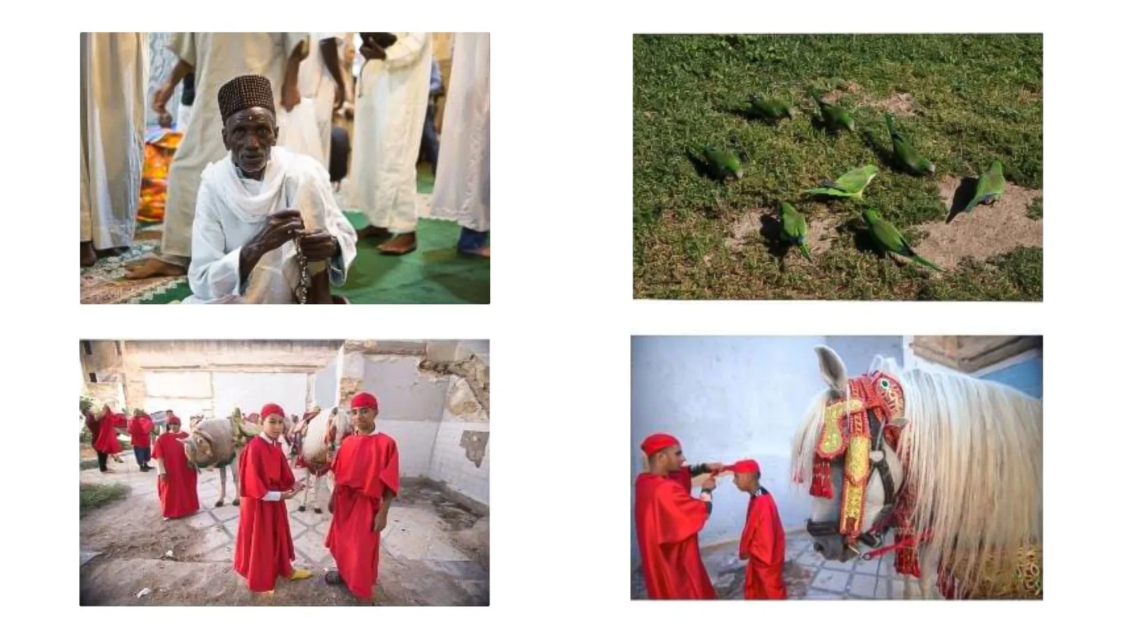 Exhibition ‘Reason and Revelation’ Unveils Spiritual Essence of Fez