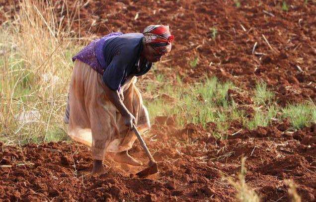 Experts: Africa Needs to Move Away From Small-Scale Farming