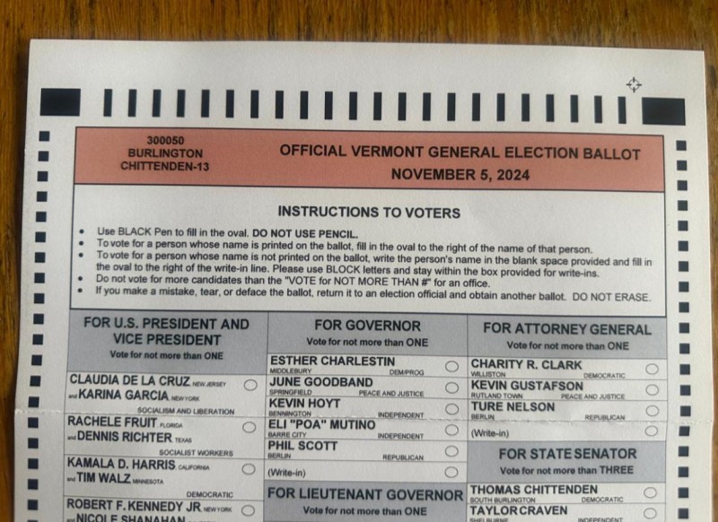 Ballot instructions