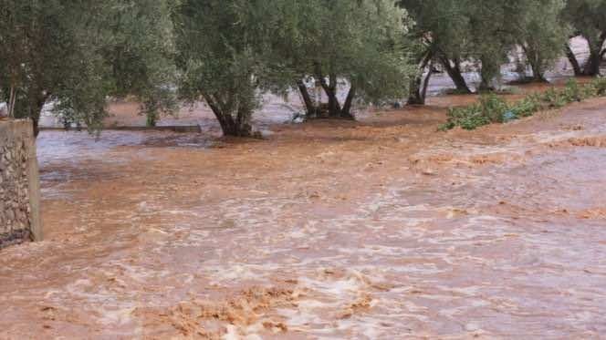 Floods: Death Toll from Tata Bus Accident Jumps to Five Victims