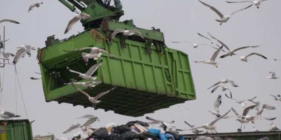 Ship Carrying 3,300 Tons of Trash from France Lands in El Jadida