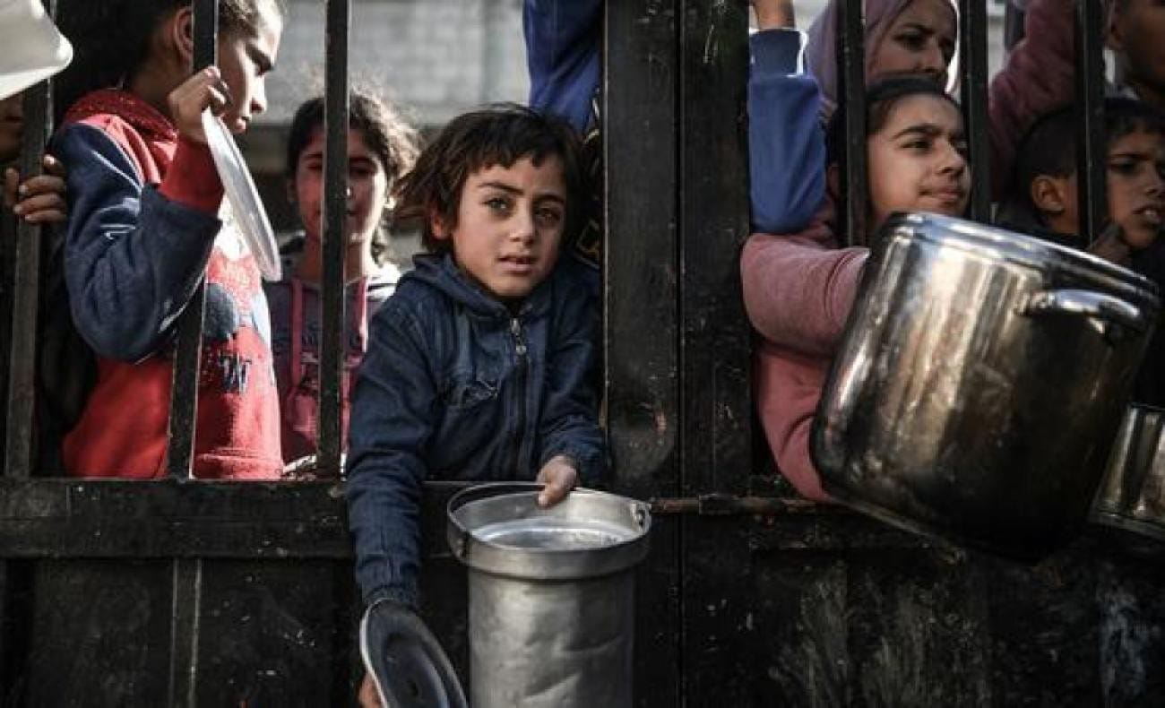 Gaza: WHO Reports Over 8,000 Children Treated for Malnutrition