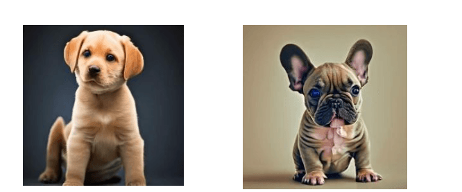 How ‘Pup-sessed’ is America?