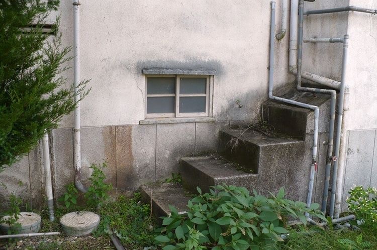 Hyperart Thomasson: Finding Beauty In Uselessness