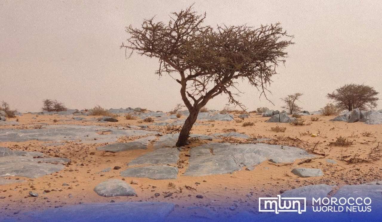 In Photos: The Wonders of the Laghchiwat Archaeological Site
