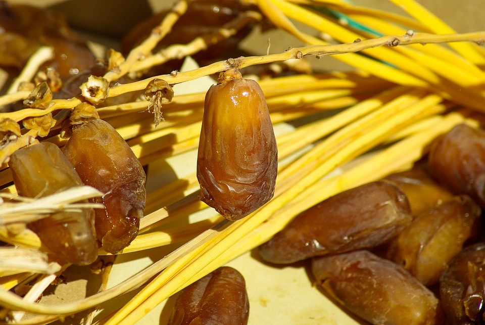 Influx of Dates From Tunisia, Algeria Sparks Frustration Among Moroccan Producers