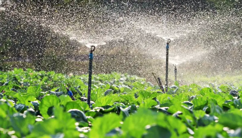 Israeli Drip irrigation Manufacturer Netafim Opens Plant in Morocco