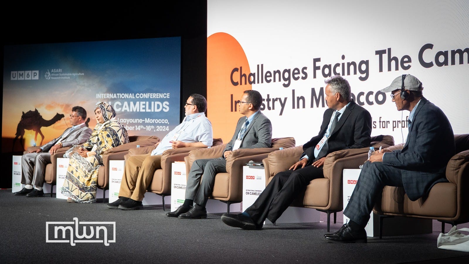 camels | Latest News From Morocco World News