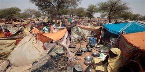 Mass Graves Discovered in Darfur as Egypt Hosts Sudan Summit
