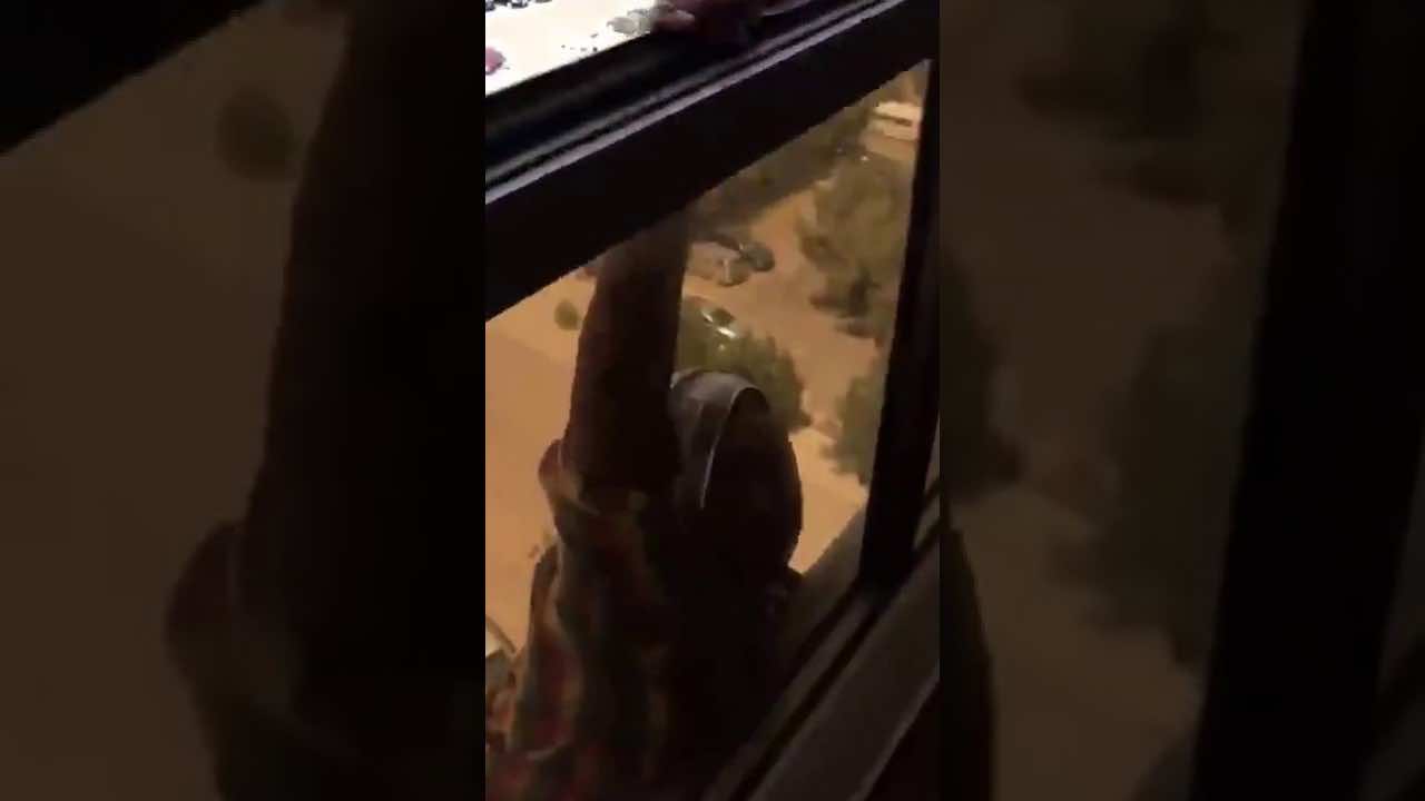 Kuwaiti Woman Films Her Maid Falling from Seventh Floor Window