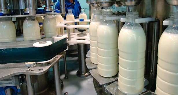 Morocco’s ONSSA: Milk Production was Monitored in 2017 Despite Claims Otherwise