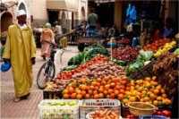 Morocco: Fruit and Vegetable Exports Grow 9% in 2010-2011