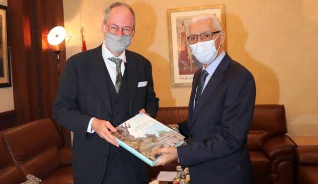 Morocco, Austria Vow to Strengthen Regional Security, Peace