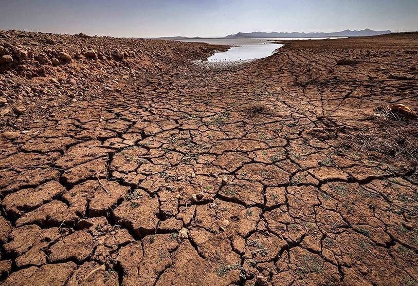 Morocco Braces for Rising Wheat Imports Amid Persistent Drought