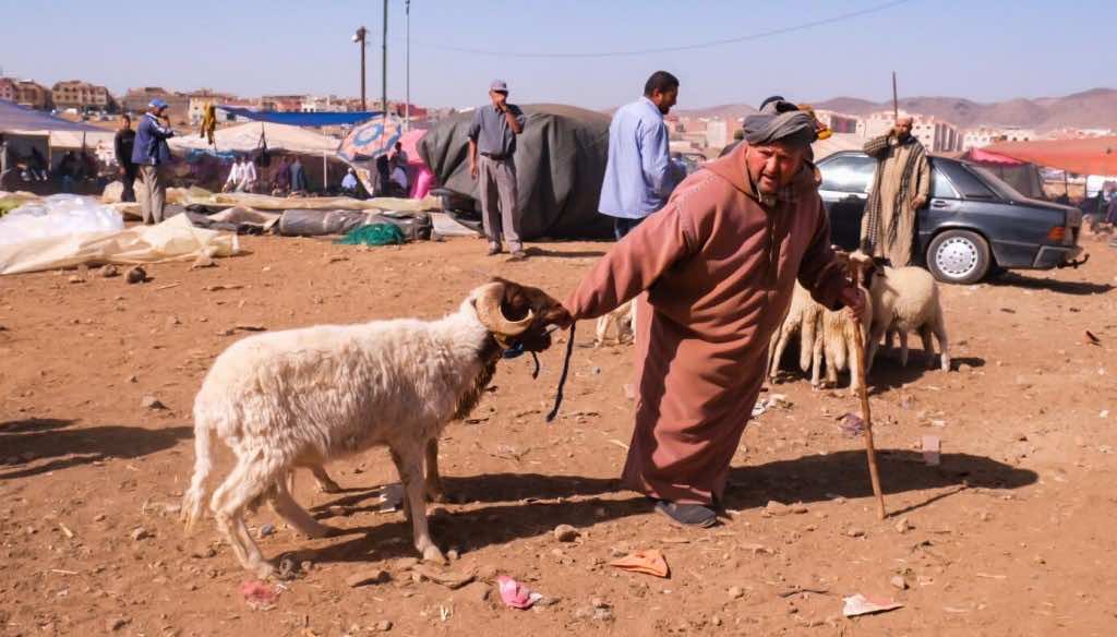 Morocco Denies Offering Special Financial Aid to Citizens for Eid Al Adha