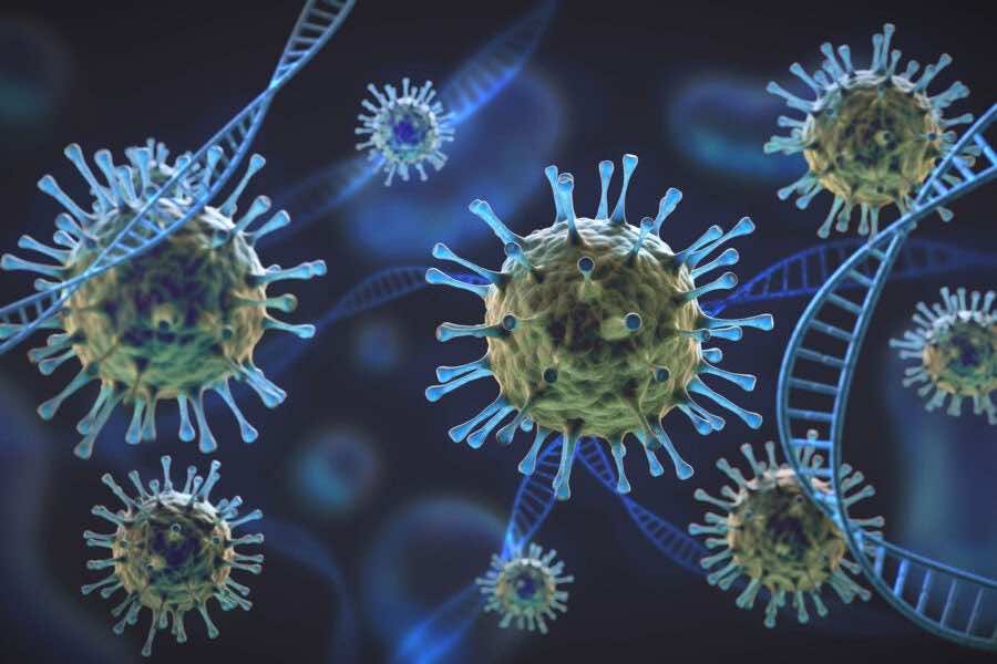 Morocco Detects 2,668 New COVID-19 Cases, Records 66 Deaths