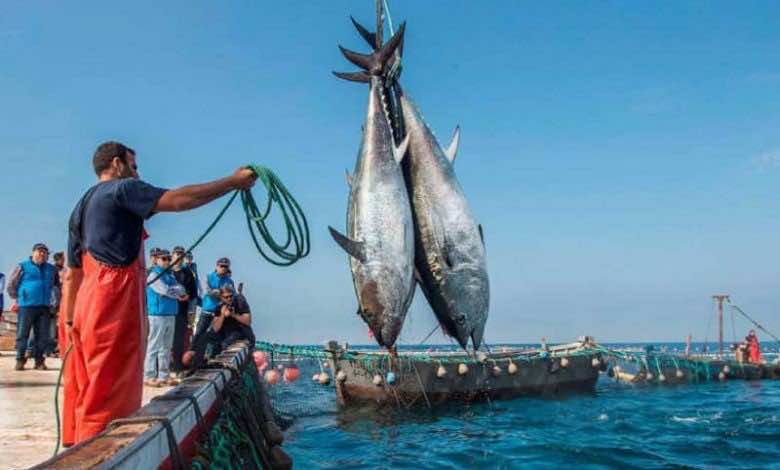 Morocco-EU Association Agreement Enters 10th Year of Planned Dismantling of Tariffs