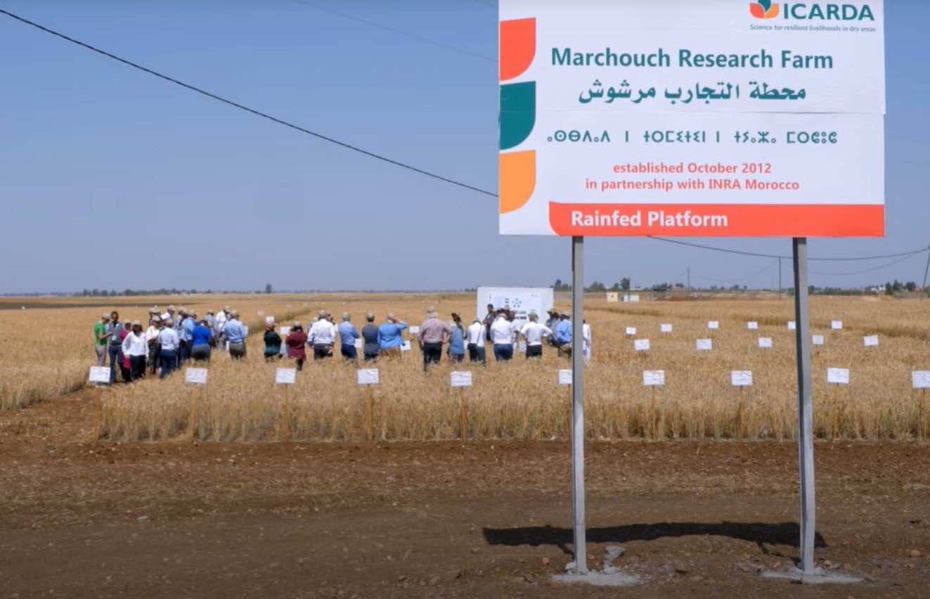 Morocco Shows Off Its ICARDA ‘Doomsday Seed Vault’