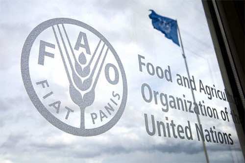 Morocco To Host FAO’s Regional Conference for Africa in 2024