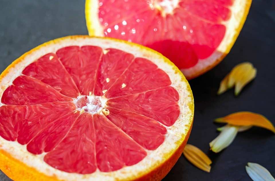 Morocco to Increase Citrus Exports to EU