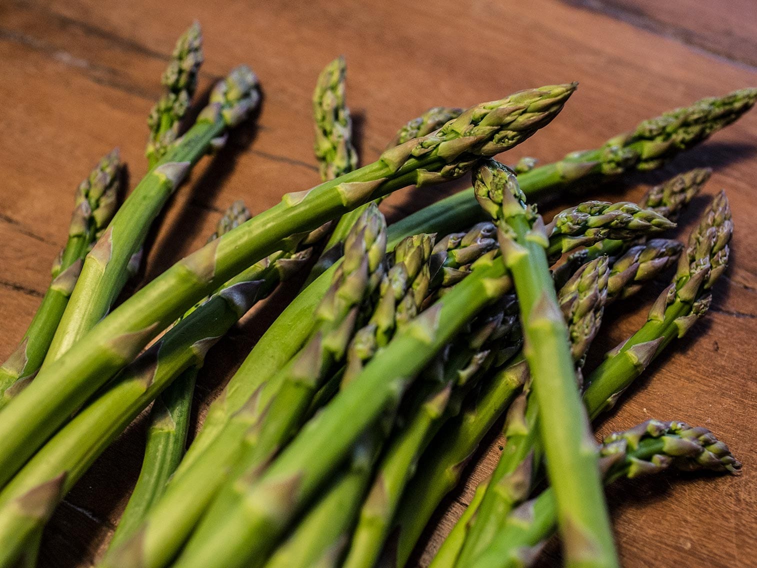 Morocco’s Asparagus Industry On Track to Break Exports Record