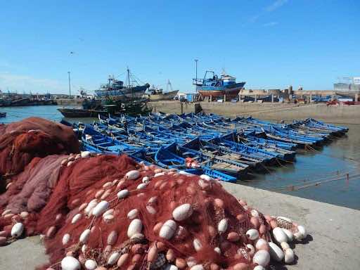 Morocco’s Fishing Industry Production Increases by 34% in 2021
