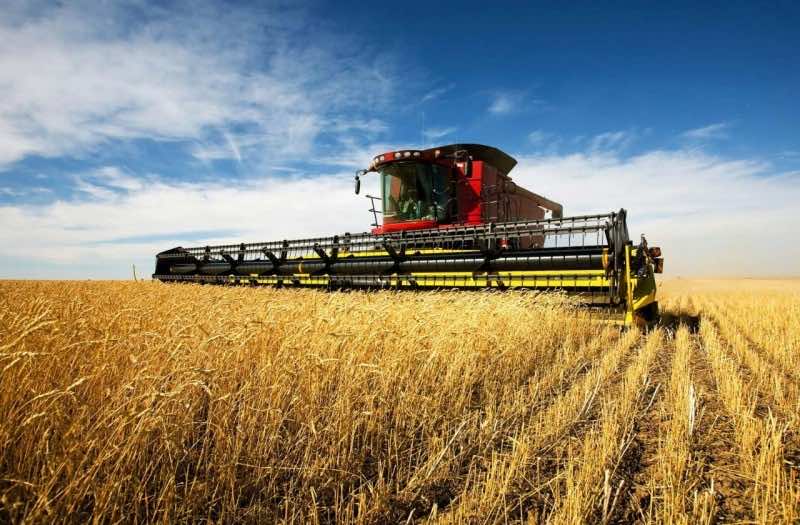 Morocco’s Imports of French Soft Wheat To Reach 5 Million Tonnes in 2023